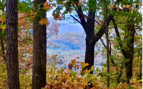 43 91 Old Burnt Mountain Rd, Ellijay, GA 30540