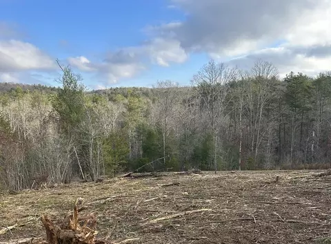 Lt37 Blue Creek Road, Morganton, GA 30560