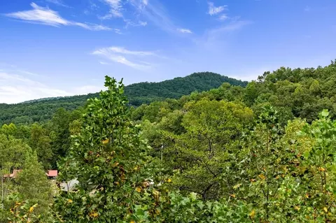 6 Gilliam Rd, Mineral Bluff, GA 30559