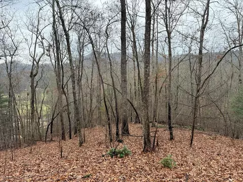 101 Flaming Rdg, Hayesville, NC 28904