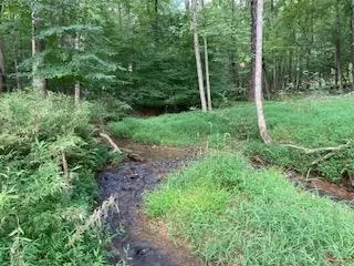 Lt 3505r Castle Court, Ellijay, GA 30540