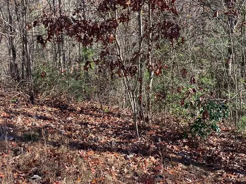 lot24 Thimble Loop, Murphy, NC 28906 photo 5