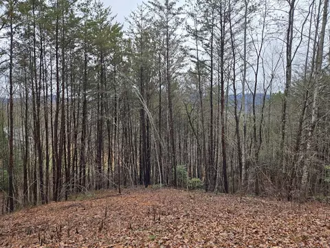 lot101 Eagles View Cres, Hayesville, NC 28904
