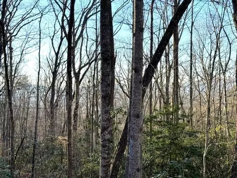 7 0 Ac Laurel Dr, Marble, NC 28905 photo 4
