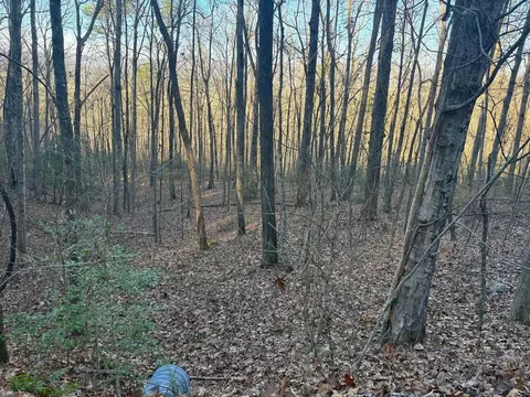 7 0 Ac Laurel Dr, Marble, NC 28905 photo 15