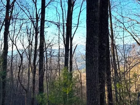 7 0 Ac Laurel Dr, Marble, NC 28905 photo 9