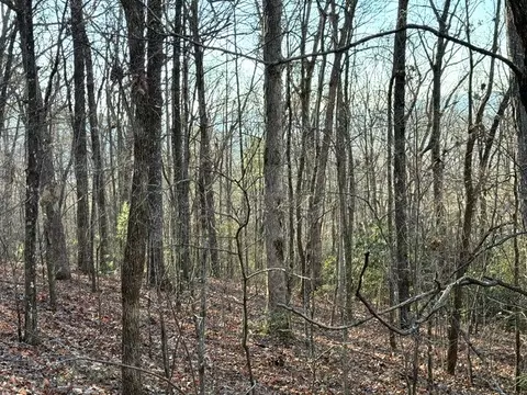 7 0 Ac Laurel Dr, Marble, NC 28905 photo 7