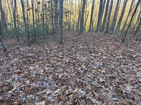 7 0 Ac Laurel Dr, Marble, NC 28905 photo 16