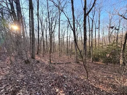 7 0 Ac Laurel Dr, Marble, NC 28905 photo 2
