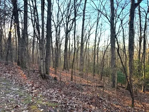 7 0 Ac Laurel Dr, Marble, NC 28905 photo 6