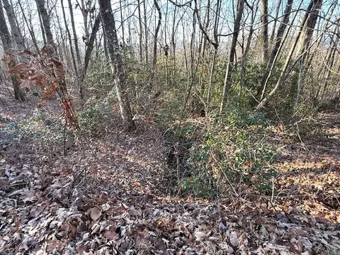 7 0 Ac Laurel Dr, Marble, NC 28905 photo 5