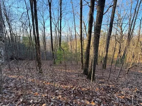 7 0 Ac Laurel Dr, Marble, NC 28905 photo 11