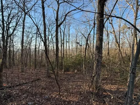 7 0 Ac Laurel Dr, Marble, NC 28905 photo 10