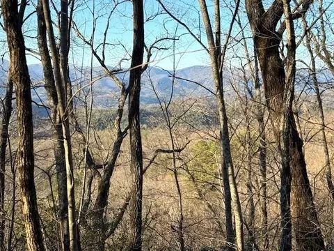 7 0 Ac Laurel Dr, Marble, NC 28905