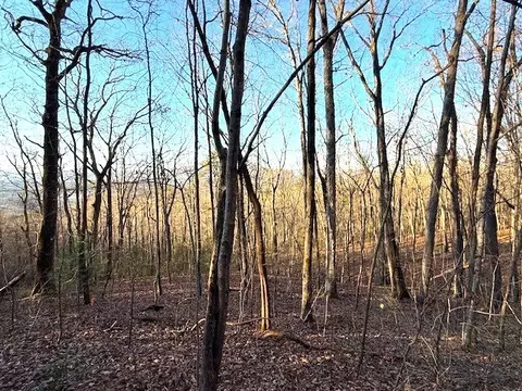 7 0 Ac Laurel Dr, Marble, NC 28905 photo 8