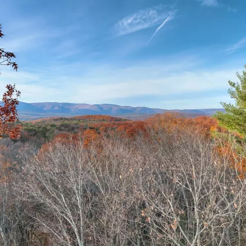 lot11 Creek Camp Rd, Ellijay, GA 30536