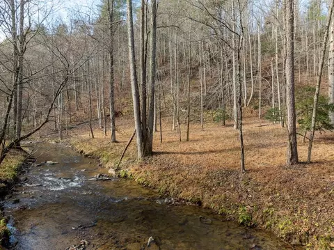 780 Banks Rd, Ellijay, GA 30540
