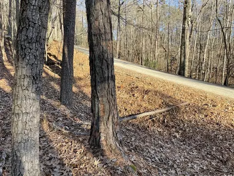 2458 Montage Dr, Ellijay, GA 30560
