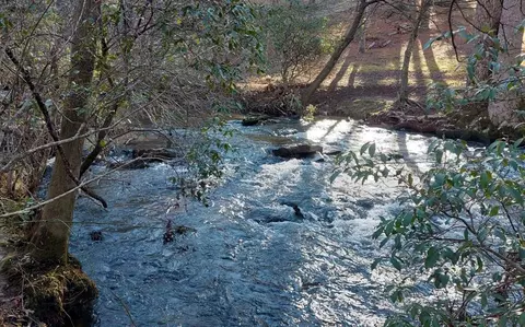 193 Opossum Rd, Blairsville, GA 30512