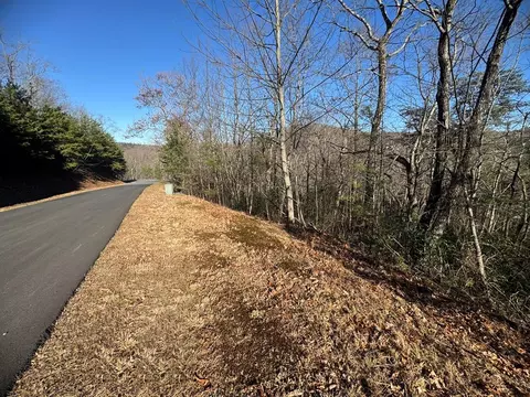 lot228 Andes Rdg, Ellijay, GA 30540
