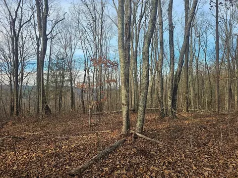 029003 0 Smith Mtn, Dunlap, TN 37327
