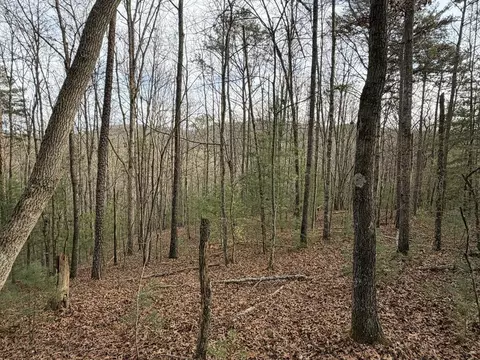 83 Acres Cutcane Rd, Mineral Bluff, GA 30559