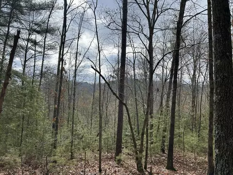 56 6 Ac Cutcane Rd, Mineral Bluff, GA 30559