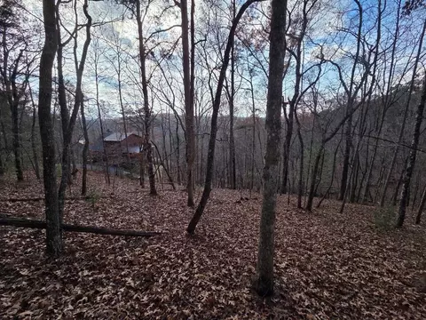 5 Fish Camp Way, Mineral Bluff, GA 30559