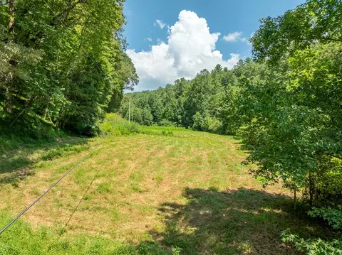 Tr 3b Wolf Pen Gap Road, Ellijay, GA 30540