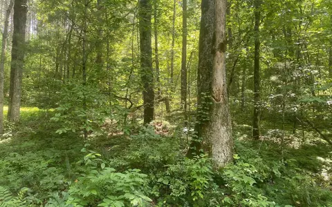 17 98 Ac Murphy Hwy, Mineral Bluff, GA 30559