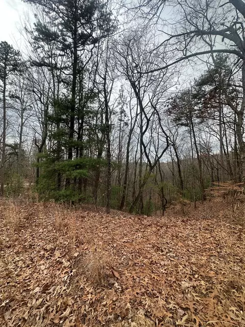 0 Sheila Dr, Ellijay, GA 30540