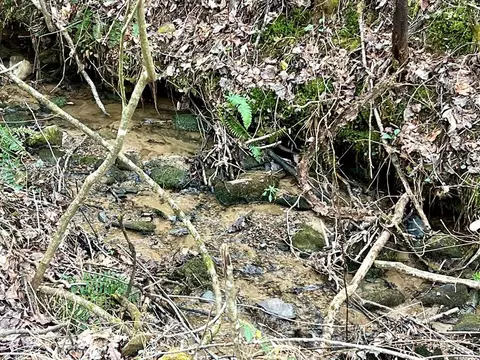 12 Acre Pleasant Gap Rd, Ellijay, GA 30540