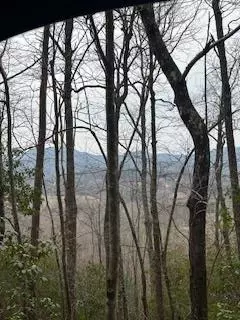 0 Winchester Crk, Young Harris, GA 30582