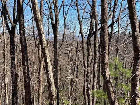 5 91 Ac Sunrock Mtn Trce, Blue Ridge, GA 30513