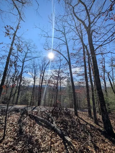 lot31 Tower Falls Ln, Hayesville, NC 28904