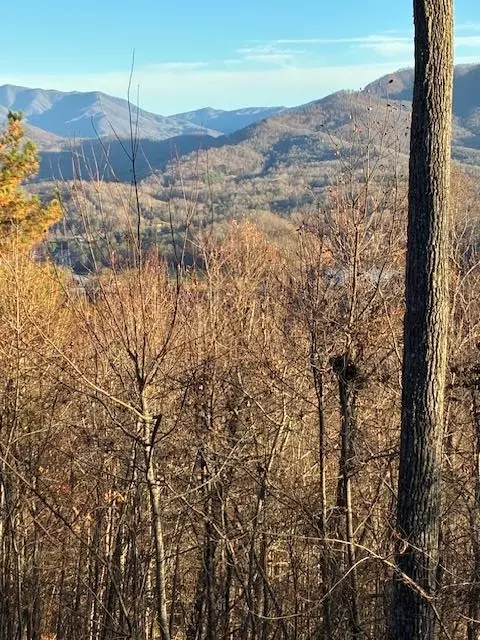 lot33 Eagles Vw, Hayesville, NC 28904