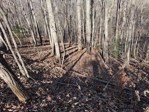 lot2 Doc Thomas Ridge Rd, Blairsville, GA 30512