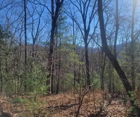 lot26 Countryside Ln, Hayesville, NC 28904