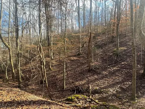 lot2749 Nimrod Ct, Ellijay, GA 30540