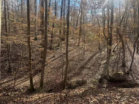 lot2750 Nimrod Ct, Ellijay, GA 30540