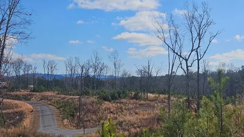 lot197 Oak Wood Ln, Ellijay, GA 30540