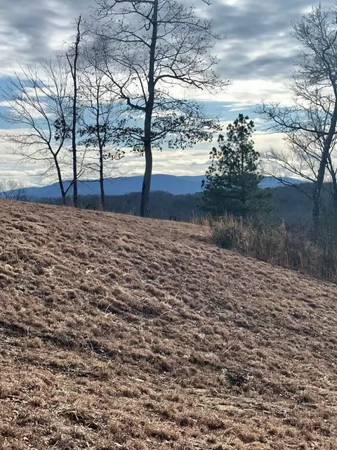 lot95 Fallen Leaf Rd, Mineral Bluff, GA 30559