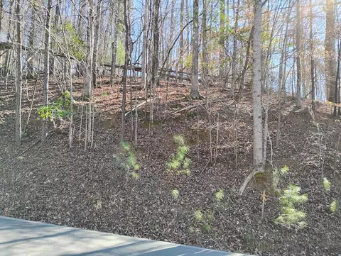2090 Newport Drive, Ellijay, GA 30540