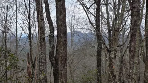 35 Ac Ducks Nest Rd, Turtletown, TN 37391