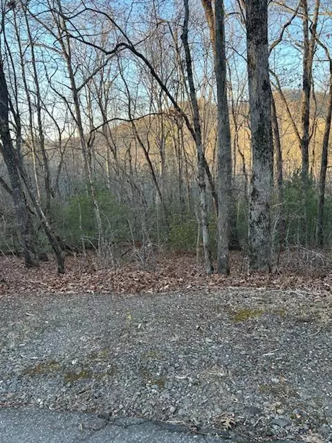 lot39 Konahetah Rd, Hiawassee, GA 30546