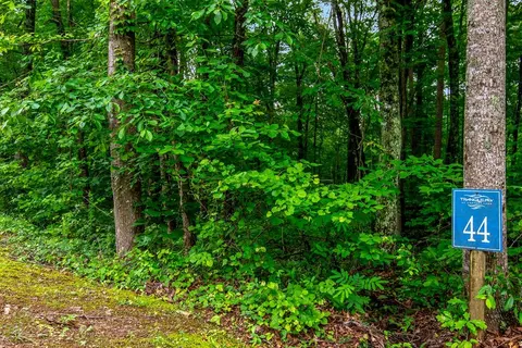 lot44 Harris Creek Dr, Ellijay, GA 30540
