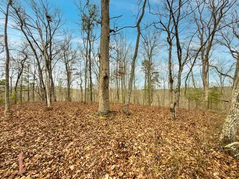 157 North Harris Creek Drive, Ellijay, GA 30540