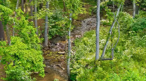 lot432 Twisted Oak Rd, Talking Rock, GA 30175