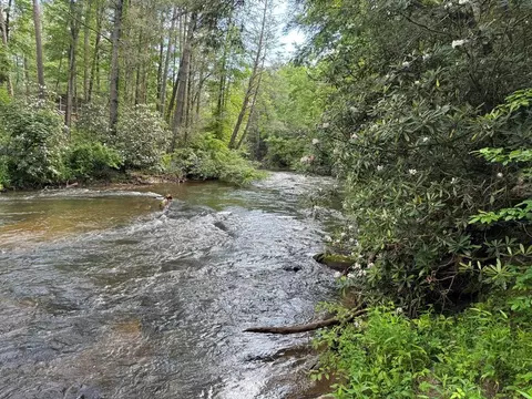 lot61 White Pine Trl, Suches, GA 30572