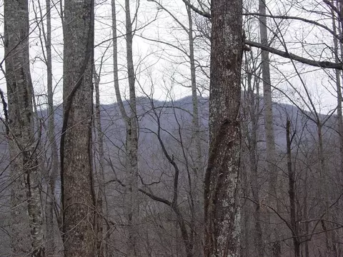 APT 17 Roaring Ridge, Hiawassee, GA 30546